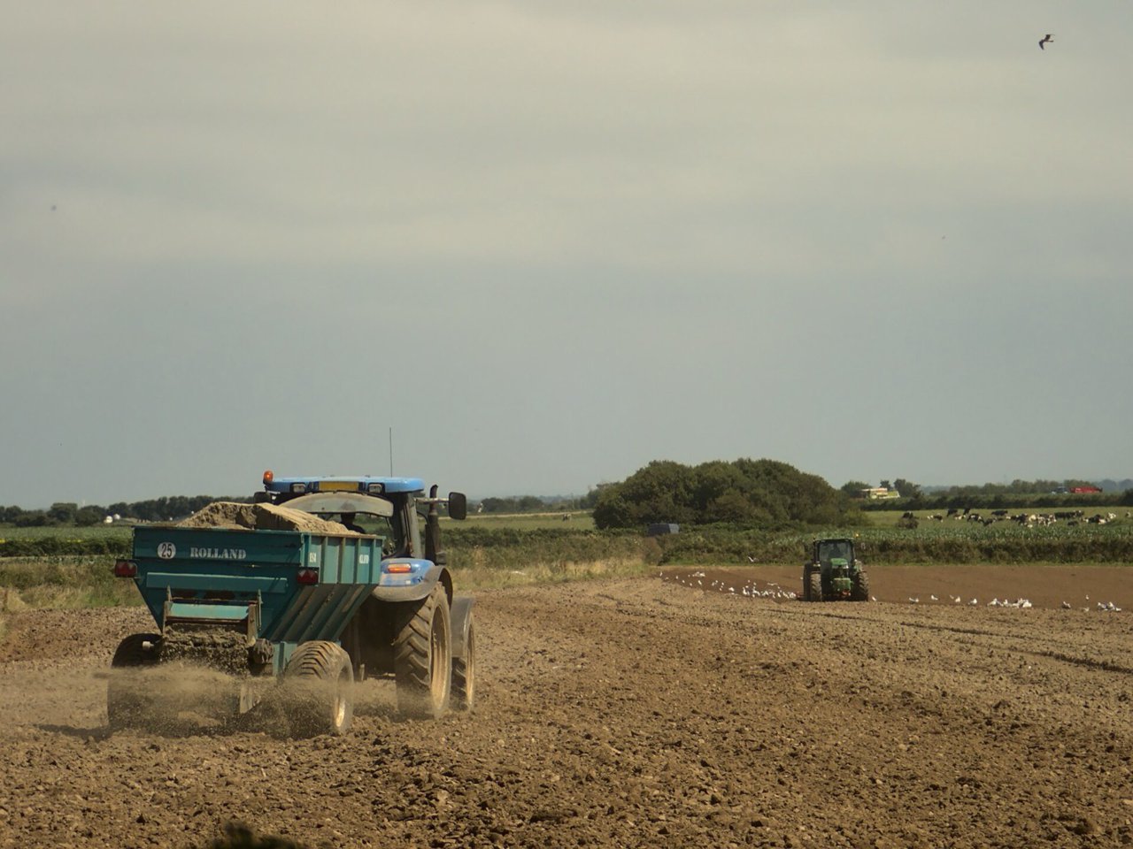 Mest en compost veredelen met lavameel: de kringloop van stal naar land
